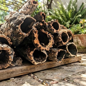 May include: A collection of hollow, cylindrical cork bark tubes with rough, textured brown exteriors and dark, cavernous interiors. The pieces are stacked on a wooden board with the text Each piece is priced on the back engraved on the wood.