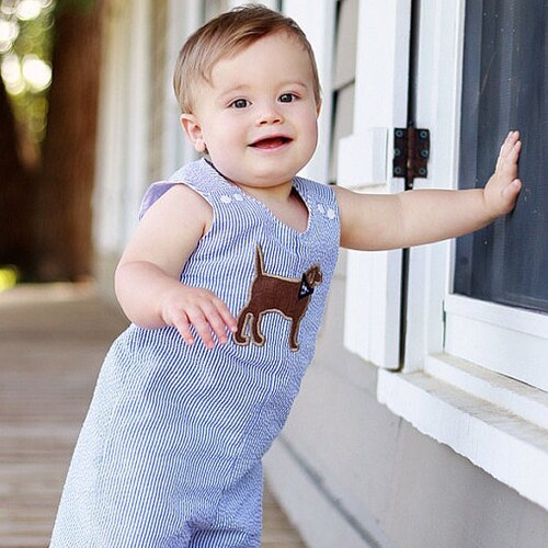 Puppy Outfit Baby Boy Romper Lab Shortall Summer Baby Etsy