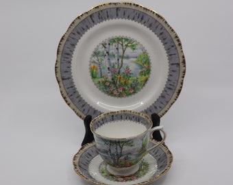 Vintage Royal Albert Bone China England "Silver Birch"/Cup, Saucer, and Plate/Made in England