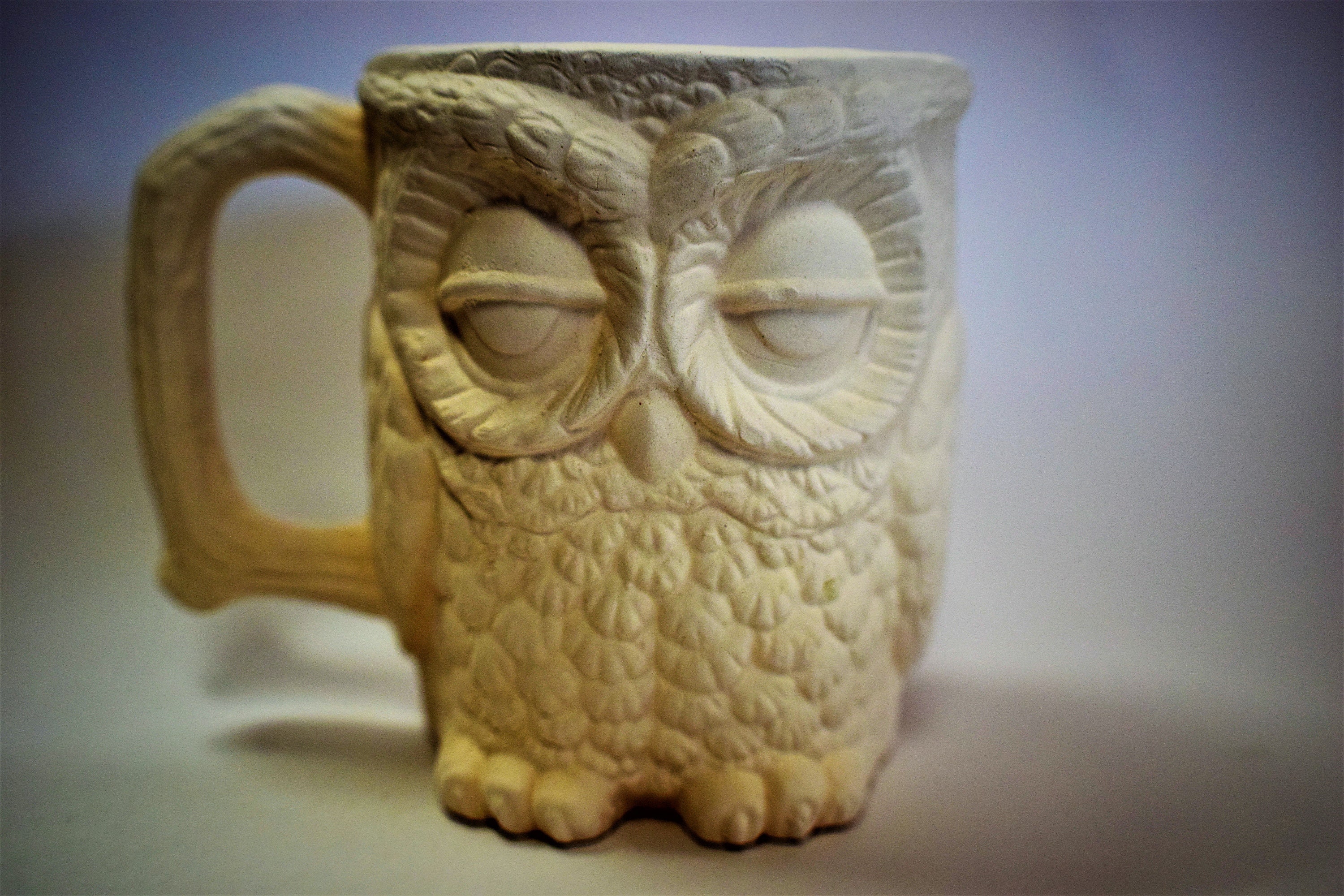 Ceramic Owl Mug.Handmade Ceramic Mug. Unfinished Etsy