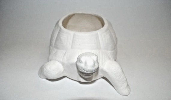 Tortues de mer fantaisie à peindre par numéros