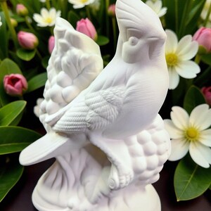Bird. Ready-To-Paint Ceramic Bisque Cardinal Bird. Unpainted Cardinal Bird. Olga's Treasures Shop image 4