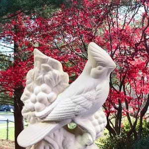 Bird. Ready-To-Paint Ceramic Bisque Cardinal Bird. Unpainted Cardinal Bird. Olga's Treasures Shop image 2