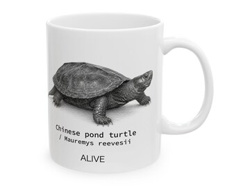 Chinese Pond Turtle Mug / Mauremys reevesii Male | Turtle Art Ceramic Mug