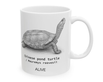 Chinese Pond Turtle Mug / Mauremys reevesii Female | Turtle Art Ceramic Mug