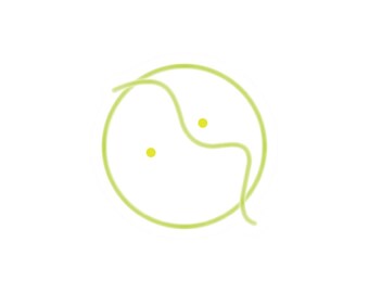 SERPENTA | symbol series