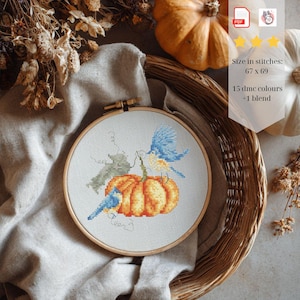 Peut inclure: Un motif de point de croix dans un tambour à broder en bois représentant une citrouille orange avec des feuilles vertes et deux oiseaux bleus. Le texte indique : Size in stitches: 67 x 69, 15 dmc colours + 1 blend.