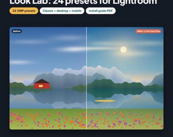 24 Lightroom Presets XMP, Look Lab Bundle for Lightroom Classic and Mobile, Portrait Travel Food Film Moody Black and White, Install Guide