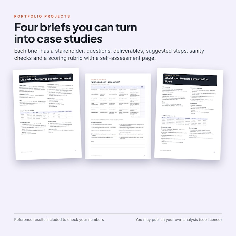 Data Analytics Course PDF with SQL Exercises, Messy Practice Datasets, Answer Keys and 4 Portfolio Projects, Beginner Analyst Training image 6