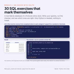 Data Analytics Course PDF with SQL Exercises, Messy Practice Datasets, Answer Keys and 4 Portfolio Projects, Beginner Analyst Training image 3