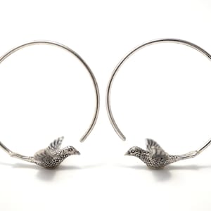 May include: Silver hoop earrings with a small bird charm hanging from each hoop.