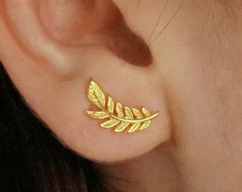 Könnte beinhalten: Ein goldfarbener Ohrkletterer in Form eines zarten Farnblatts mit strukturierter Oberfläche. Der Ohrring folgt der Kurve des Ohrläppchens und zeigt einen zentralen Stiel mit mehreren kleinen, spitz zulaufenden Blattsegmenten.