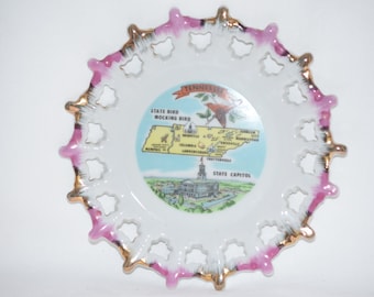 VINTAGE SOUVENIR PLATE-Tennessee Volunteers-Commemorative-Rural Kitsch-Country or Shabby Chic-Americana-Fun Affordable Gift for Collectors