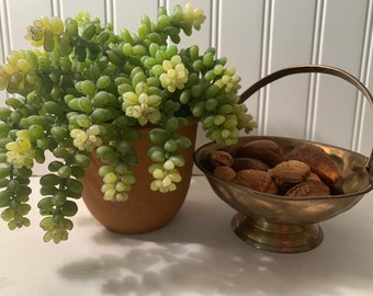 Small Brass Basket w/Handle-Eye Catching Vintage Home Décor-Gold Toned Metal Nut Bowl-Mantel Shelf Display-60's 70's Modern Rustic Style