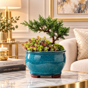 Könnte beinhalten: Ein leuchtend grüner Wacholder-Bonsai und eine Ansammlung kleiner, mehrfarbiger Sukkulenten in einem runden, glänzend türkisfarbenen Keramiktopf mit breitem Rand und dunkelbraunem Boden, der eine glatte, reflektierende Oberfläche aufweist.