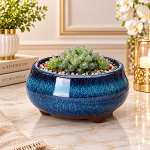 May include: A round, deep blue ceramic planter with a glossy, mottled glaze and three small brown feet. The planter contains a cluster of translucent, light green succulent leaves nestled in a bed of small, multi-coloured decorative pebbles.