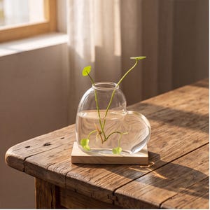 Peut inclure: Un vase en verre transparent en forme de cœur rempli d'eau et d'une petite plante verte aux feuilles rondes. Le vase repose sur une base rectangulaire en bois clair, mettant en valeur un design transparent qui révèle les tiges à l'intérieur.