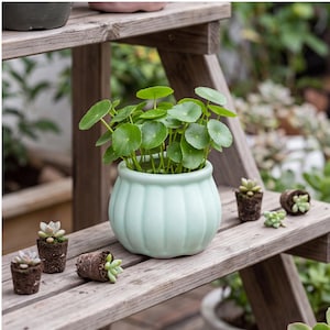 Pots de fleurs en céramique mate faits main, multicolores, robustes et de petite taille, pour un jardinage d'intérieur apaisant.