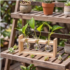 May include: A light-colored wooden propagation station featuring three clear glass bulb-shaped vases filled with water and green leafy plant cuttings. The stand has a rectangular frame with circular cutouts to hold the glass vessels securely.