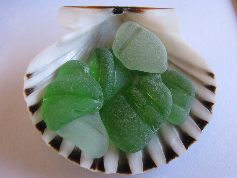 Sea Glass Necks of Bottles Mosaic Jewelry Supply Genuine Beach Glass Canadian Seaglass Art Jewelry Supply