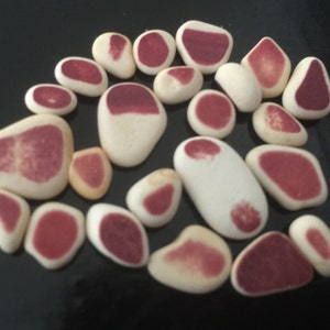Puede incluir: Una colección de piedras lisas, blancas con marcas rojas y rosadas. Las piedras son de varias formas y tamaños, y algunas tienen un patrón más definido que otras.