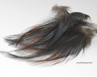 Iridescent Black with red edge Rooster hackle BB