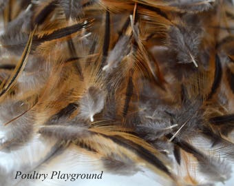 Feathers under 2 inches Black and Brown/gold Hackle Head Ginger