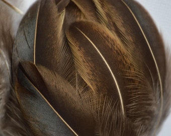 Tulley feathers Dark 3-4 inches