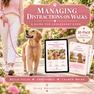 Puede incluir: Una guía digital titulada Managing Distractions on Walks: A Guide for Adolescent Dogs, que muestra un golden retriever con una correa rosa. La descarga digital de 10 páginas incluye secciones para mejorar el enfoque y paseos más tranquilos.