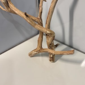 Può includere: Un pezzo di legno naturale color marrone chiaro con una consistenza liscia e levigata, caratterizzato da molteplici rami. Il legno presenta curve organiche e variazioni di colore, che vanno dal beige pallido alle tonalità marroni.