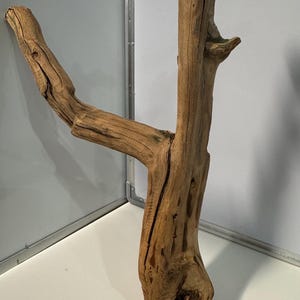 Puede incluir: Un trozo de madera flotante natural con una textura de color marrón claro y desgastada. La madera presenta un tronco vertical central que se divide en dos ramas, una que se extiende hacia la izquierda y otra más corta hacia la derecha.