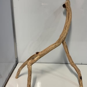 May include: A light brown, natural wooden branch structure featuring three distinct legs that allow it to stand upright. The wood displays a textured, weathered surface with visible grain patterns, knots, and a curved main stem reaching upwards.