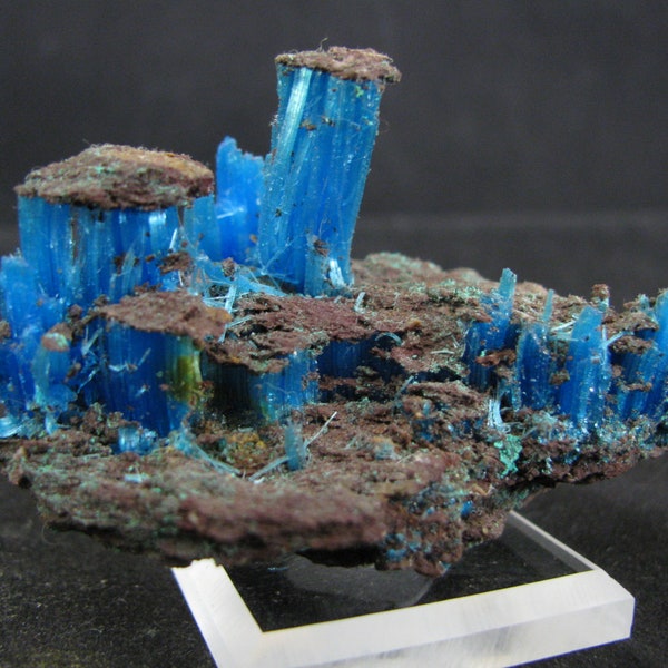 Mineral Specimen - Chalcanthite (primary) - The Planet Mine, La Paz Co., Arizona