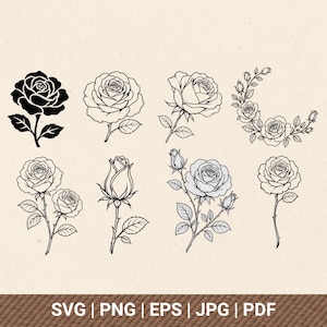 Könnte beinhalten: Eine Sammlung von acht schwarz-weißen Rosenillustrationen in verschiedenen Blühstadien, darunter eine vollflächig schwarze Rose, Strichzeichnungen, eine Rosen-Mondsichel-Anordnung und Knospen. Der Text SVG | PNG | EPS | JPG | PDF steht unten.