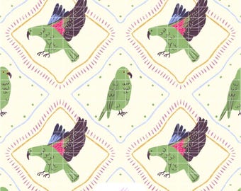 Patrón sin costuras de loro Kea – Nueva Zelanda - Papel digital de aves - PNG de aves tropicales - Álbum de recortes, diario creativo, sublimación