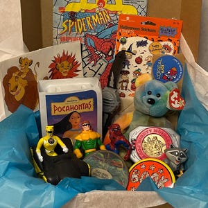 May include: A collection of vintage toys and memorabilia including a Pocahontas VHS case, a tie-dye plush bear, a yellow Power Ranger figure in a black vehicle, a green action figure, a Spider-Man figure, a raccoon figure, and various stickers.