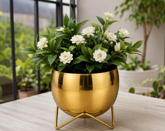 Vaso dourado com suporte para plantas de interior | Suporte redondo para vasos de flores | Vaso decorativo elegante para decoração de casa, escritório e sala de estar