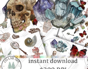 Cabinet of curiosity, collage sheets, 39 hand drawn images, ATCs, ACEOs, stickers, doll, butterfly, skull, shell, key, crystals, cat,