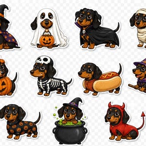 May include: A collection of eleven digital stickers featuring black and tan dachshunds in various Halloween costumes, including a witch, ghost, vampire, mummy, pumpkin, skeleton, hot dog, broomstick rider, pumpkin-patterned sweater, cauldron, and devil.