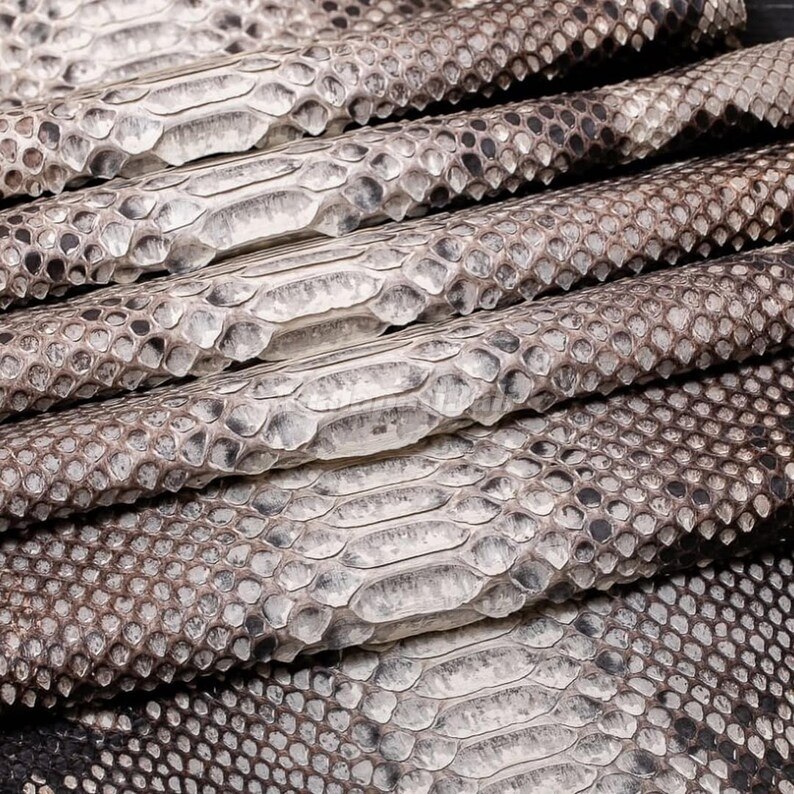 May include: A textured sheet of snakeskin leather featuring a repeating pattern of overlapping scales in shades of off-white, light gray, and dark brown. The surface displays a distinct central row of elongated, rectangular scales flanked by smaller, rounded scales.