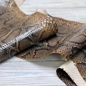 Peut inclure: Un morceau de cuir de serpent texturé présentant un motif en losanges marron et noir avec une finition brillante. Le matériau est plié pour montrer le dessous, qui est de couleur crème clair. Le mot Acalapayi est imprimé sur la surface.