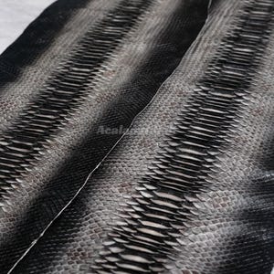 May include: Two long strips of black and grey snakeskin leather featuring a distinct, raised scale pattern. The texture transitions from a dark, solid black edge to a lighter, mottled grey center, with the word Acala visible in the middle.