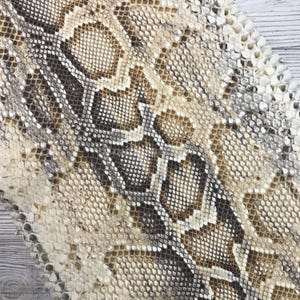May include: A textured snakeskin material featuring a repeating geometric pattern of overlapping scales in shades of cream, beige, tan, and dark brown. The surface displays a natural, organic scale structure with a distinct central spine design.