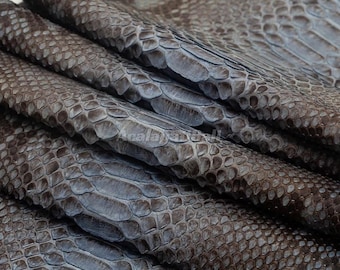 Cuir de python bleu ardoise | Peau de serpent réticulée entière | Peau de ventre de python non blanchie
