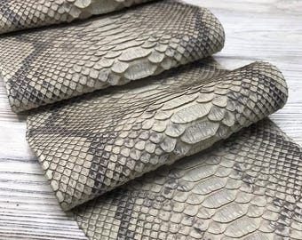 Cuir de python gris ivoire chaud | Peau de serpent réticulée entière | Peau de ventre de python non blanchie