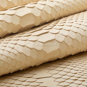 Real Snake Leather for Artisan Supplies, Warm Vanilla Cream Reptile Skin Ideal for Boutiques