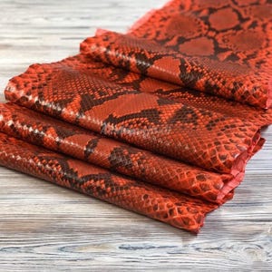 Rust Orange Copper Python Skin for Craftsman Project, Real Exotic Skin Ideal for Boutiques