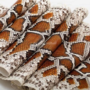 Può includere: Un foglio di materiale testurizzato con un motivo ripetitivo a pelle di serpente nelle tonalità dell'arancione bruciato, marrone e crema. La superficie presenta un disegno dettagliato a scaglie con contorni marrone scuro e bordi color crema.