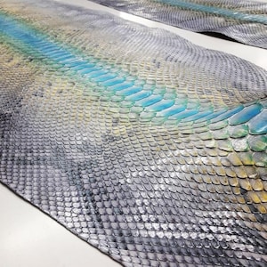 Gray Gradation Blue Python Leather | Whole Reticulated Snake Hide | Unbleached Python Belly Skin