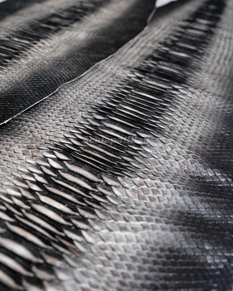 May include: A piece of black and grey snakeskin leather featuring a distinct pattern of overlapping scales. The texture is highly detailed with a gradient of dark tones transitioning into lighter grey shades across the surface.